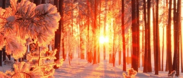 Event-Image for 'Wintersonnenwende im Wald &ndash; Feuer, Kakao und Fackeln'
