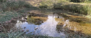 Event-Image for 'Einsatz Wolfgangweiher'