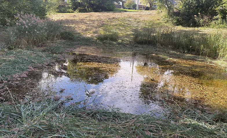 Einsatz Wolfgangweiher