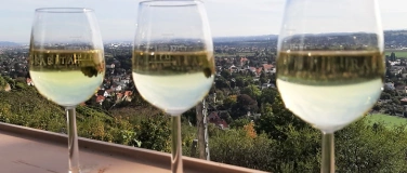 Event-Image for 'Moderierte Weinwanderung, Friedsteintour, ca. 2,5 -3 h'