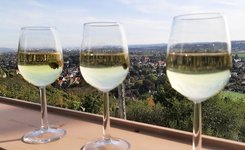 Moderierte Weinwanderung, Friedsteintour, ca. 2,5 -3 h