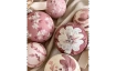 Weihnachtskugel Workshop mit Nastiart