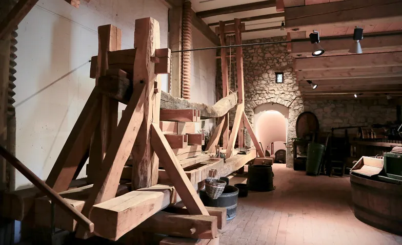 Die Kunst des Weinbaus
